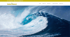 Desktop Screenshot of golden-natural.com